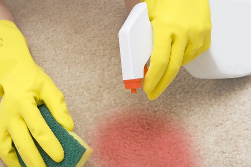 Professional cleaner in Belsize Park starting a domestic cleaning service