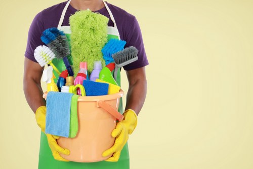 Professional upholstery cleaning for a living room sofa