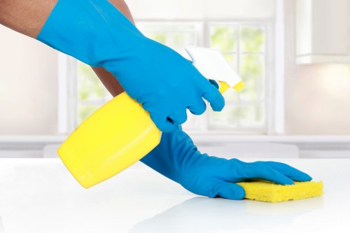 House cleaning tools and organized supplies for a tidy home