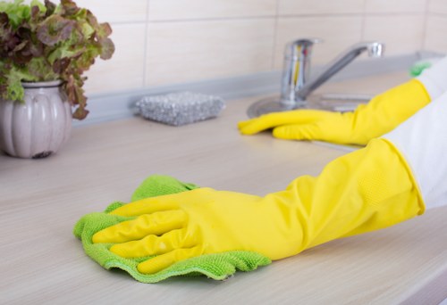 Professional move in cleaning in an empty home before unpacking