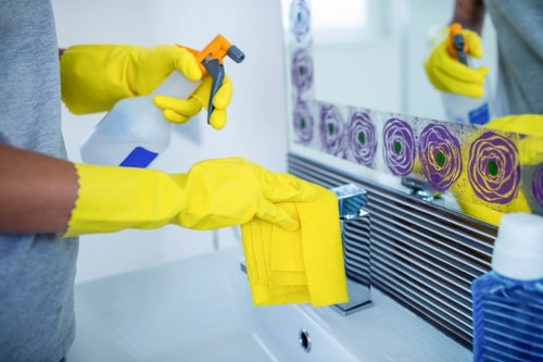 Deep cleaning supplies arranged for kitchen and bathroom cleaning