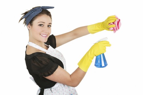 Room-by-room domestic cleaning checklist in a modern house